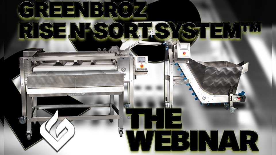 Rise-N-Sort-Webinar-Cover-Image-1