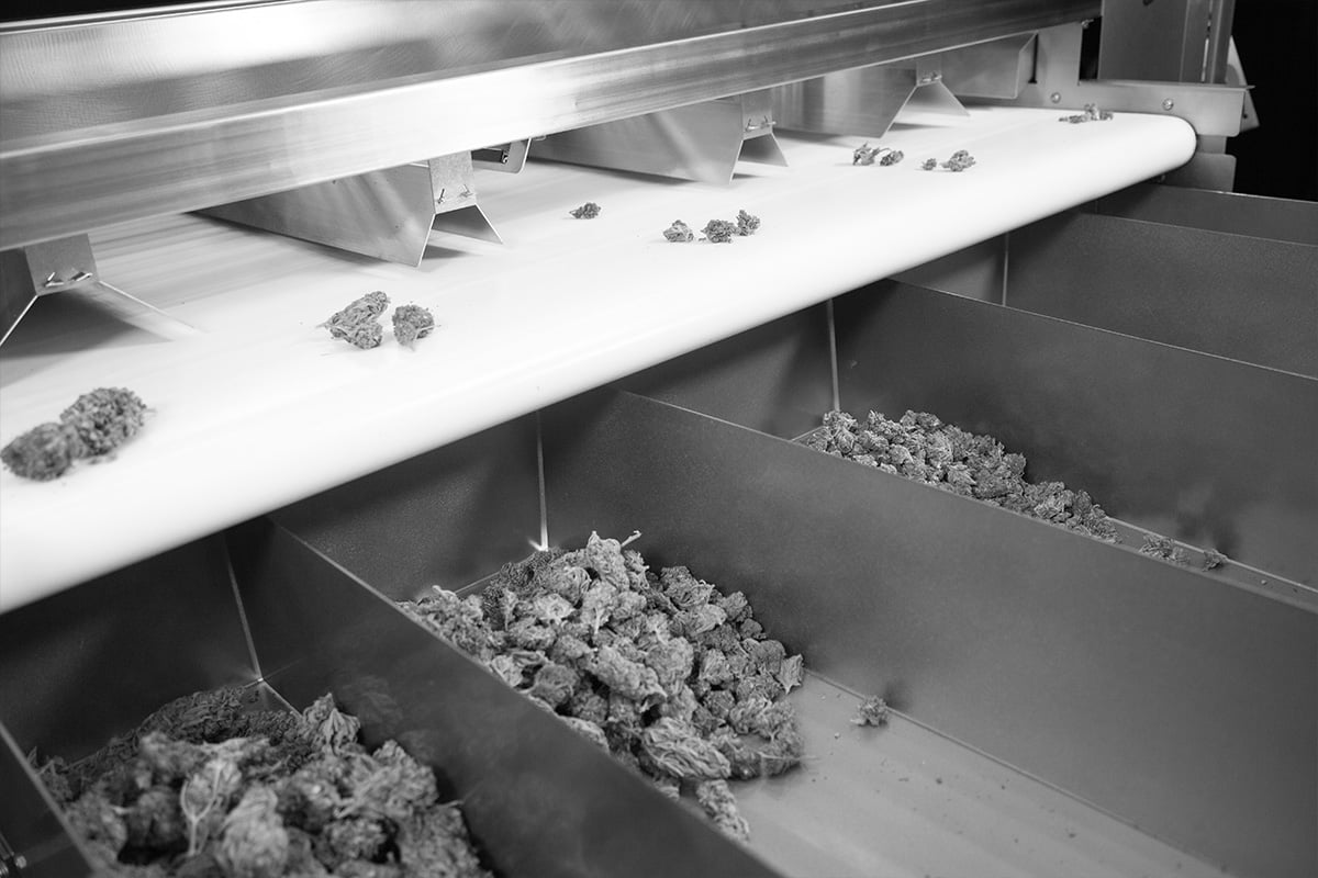 Sorter-Table-Precision-Sorter-Detail-1
