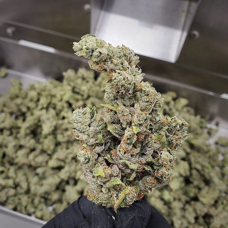 greenbroz_inc_1669066463052754