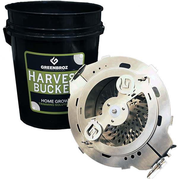 Harvest buket bud trimmer with bucket
