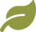 leaf-icon (1)
