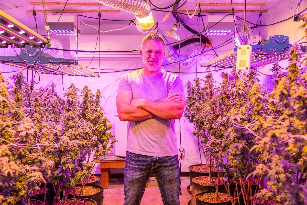 man cannabis farmer