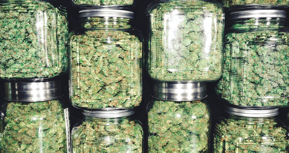 Cannabis Processing: From Plant to Retail Product