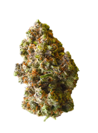 trim-b-2-1 trim-b-2-1