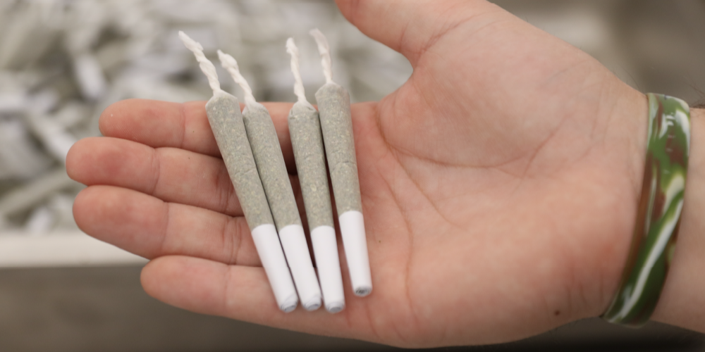 5 Elements of a Perfect Pre-Roll